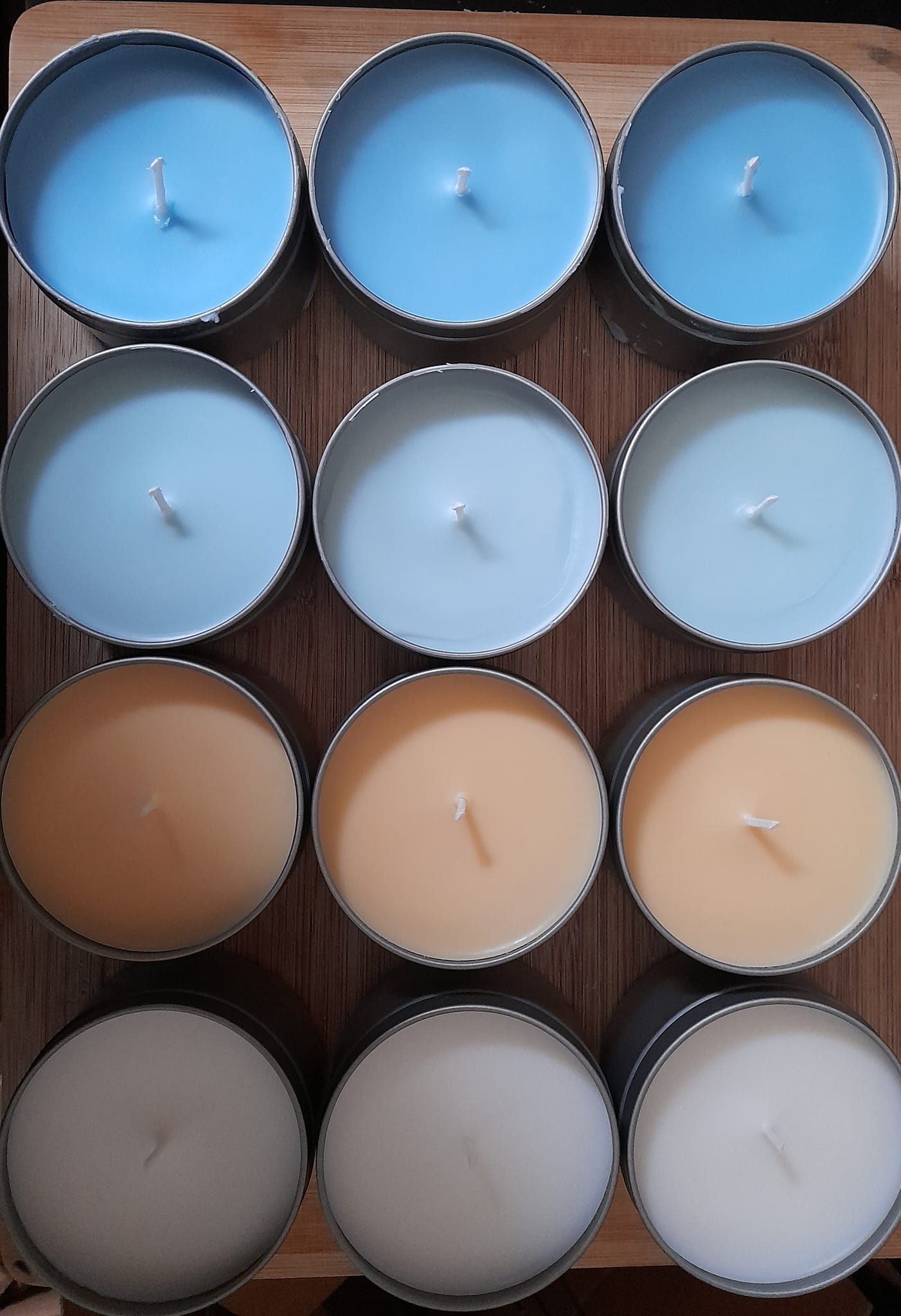 Citronella Insect Candle Collection