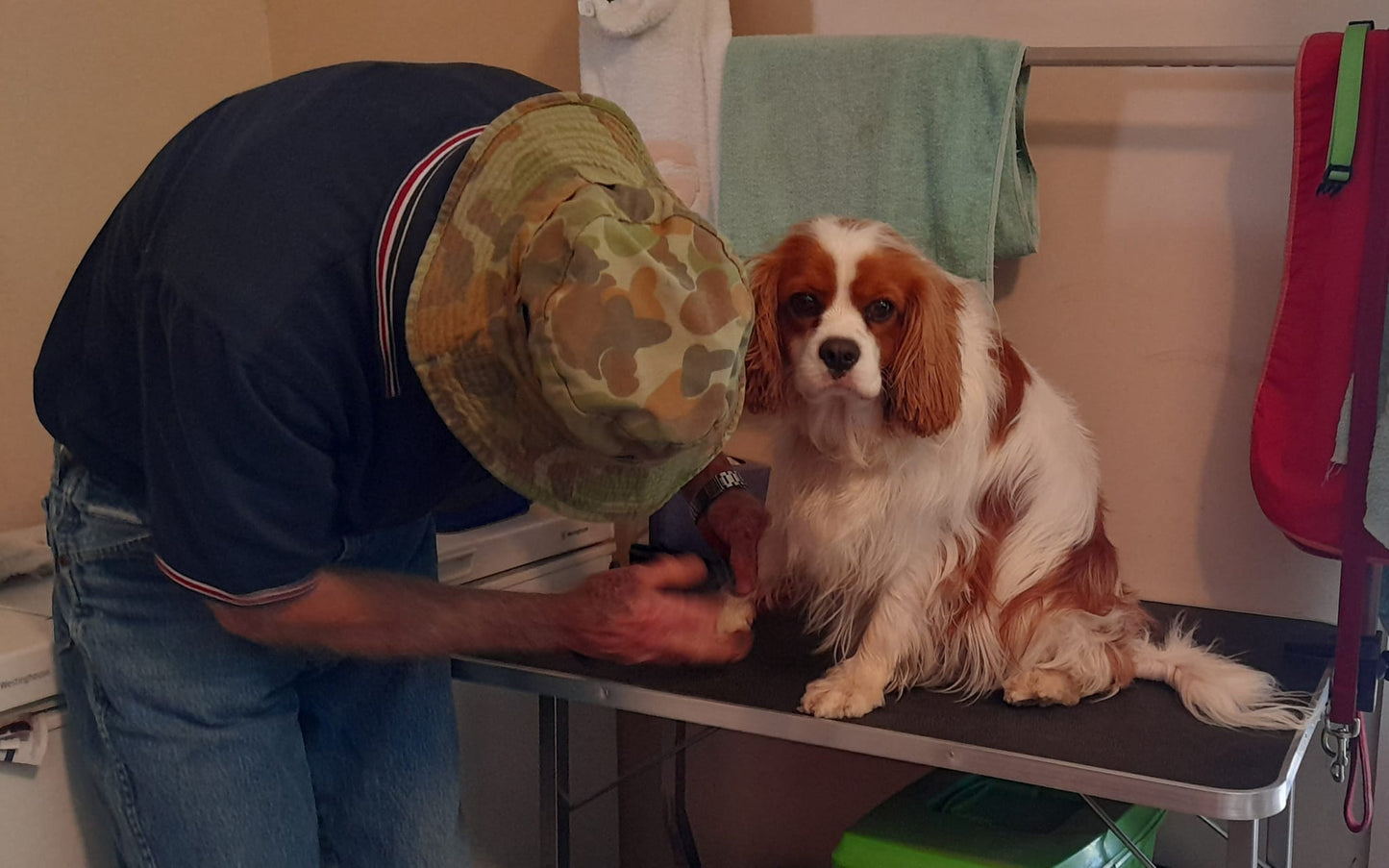 Jake's Formulation Organic Pet Shampoo