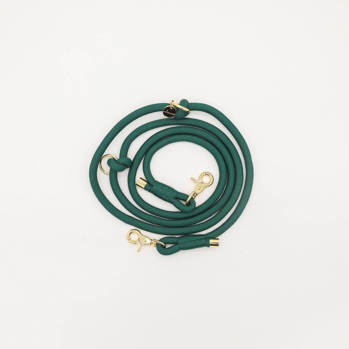 CAVOLOGY Hands Free Braided Rope Leash - Forest Green