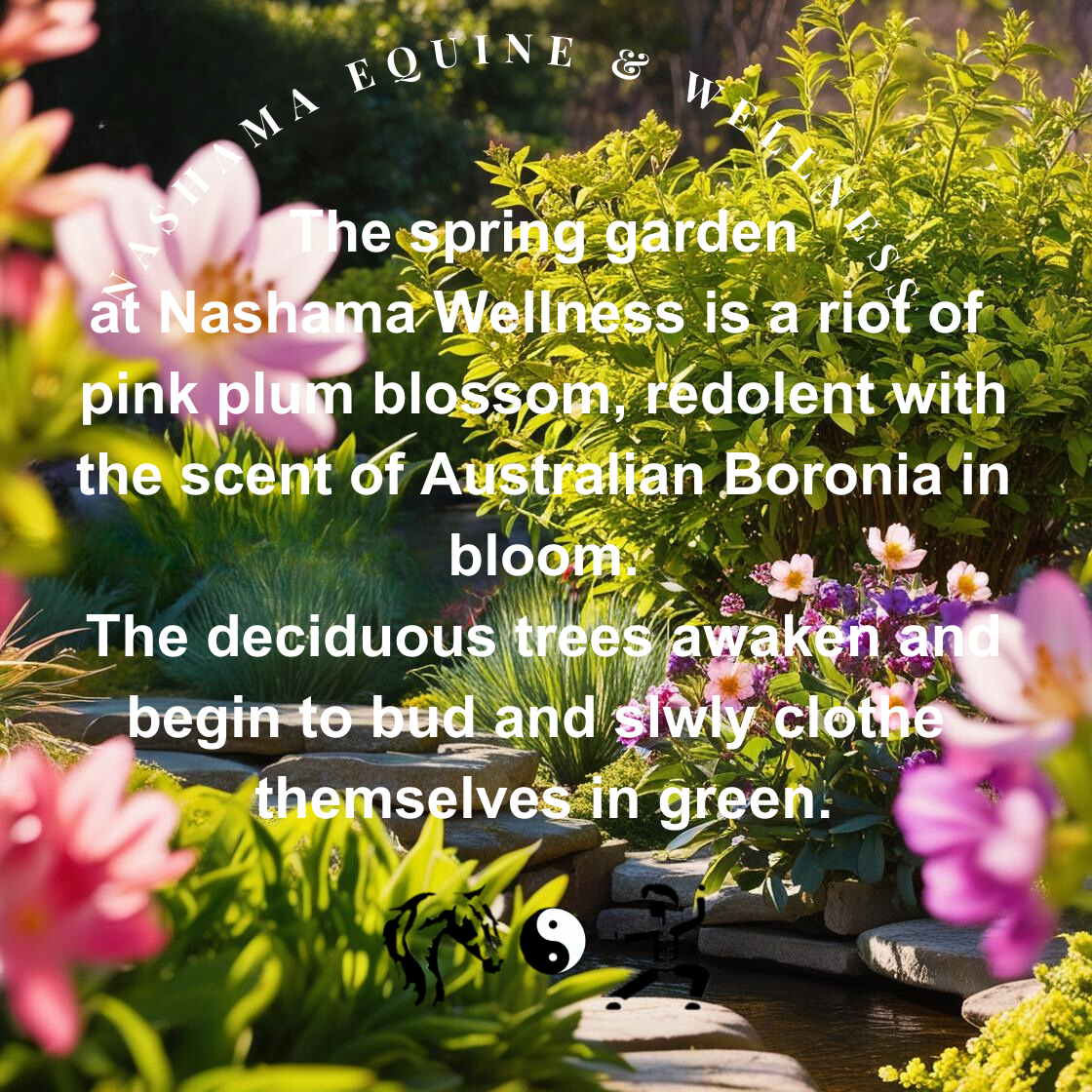 Nashama Exclusive Pure Soy Candle - Nashama's Spring Garden