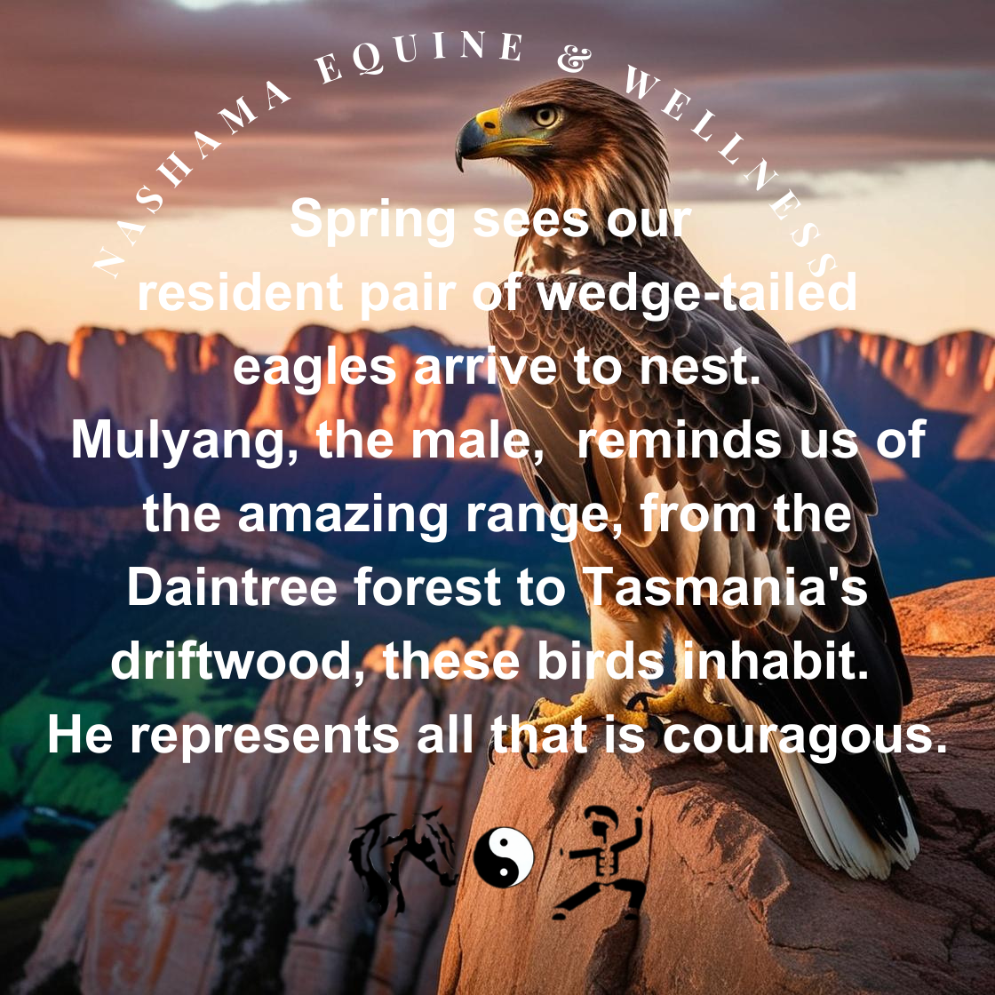 Nashama Exclusive Pure Soy Candle - Mulyang