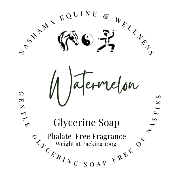 Watermelon Slices Glycerine Soap
