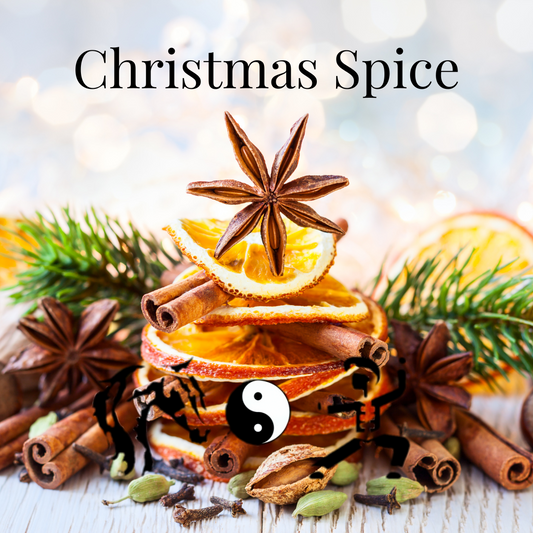 Christmas Spice 45g Paleo Shower Steamer