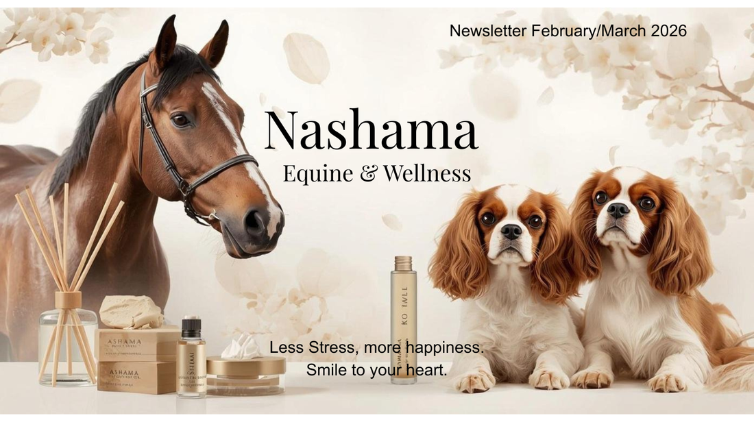 Nashama Newsletter Feb/March 2026