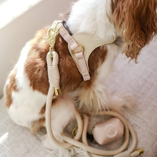 Coming Soon to the Shop - Cavology Dog Harnesses and Lil'Bit Better Cleaning Products!