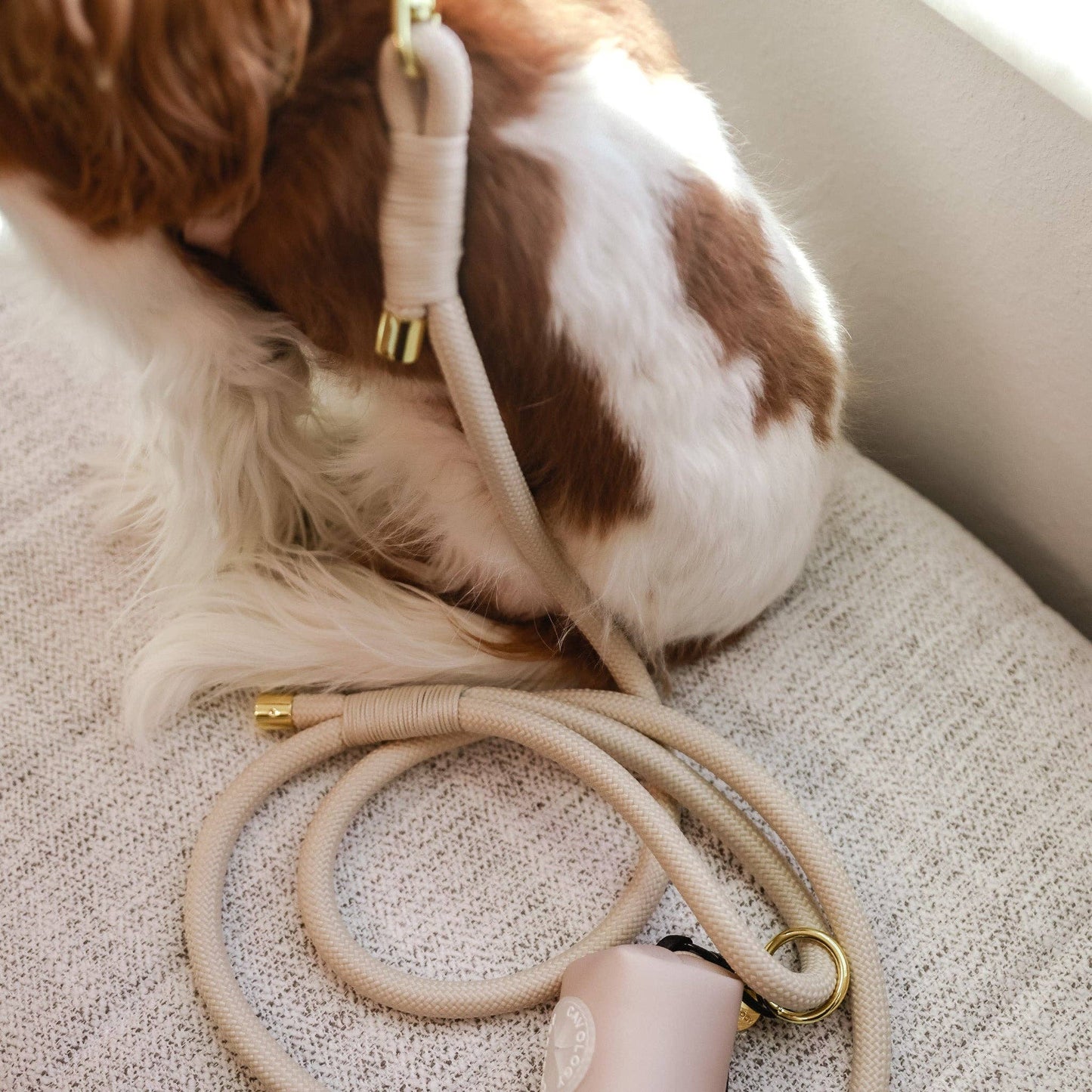 CAVOLOGY EASY-O STEP IN HARNESS - Vanilla Cream: M