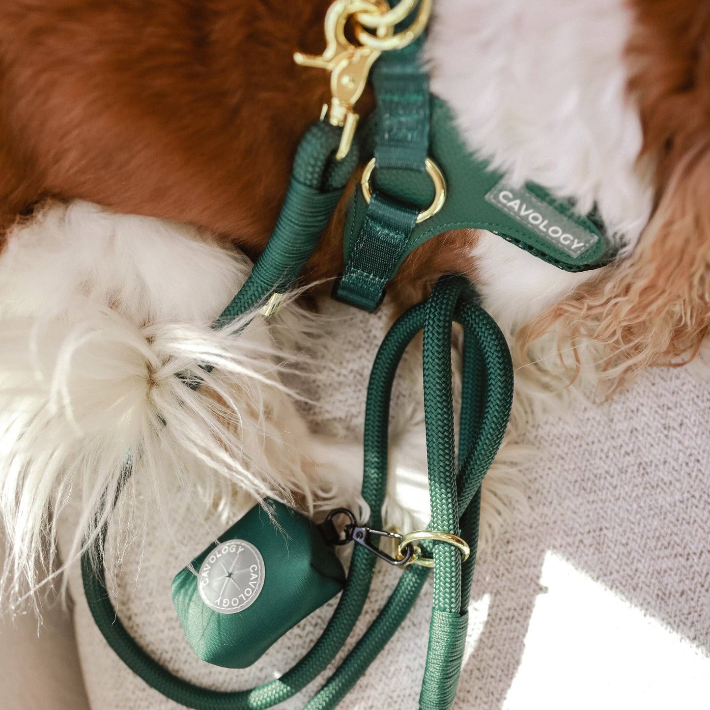 CAVOLOGY EASY-O STEP IN HARNESS - Forest Green: L