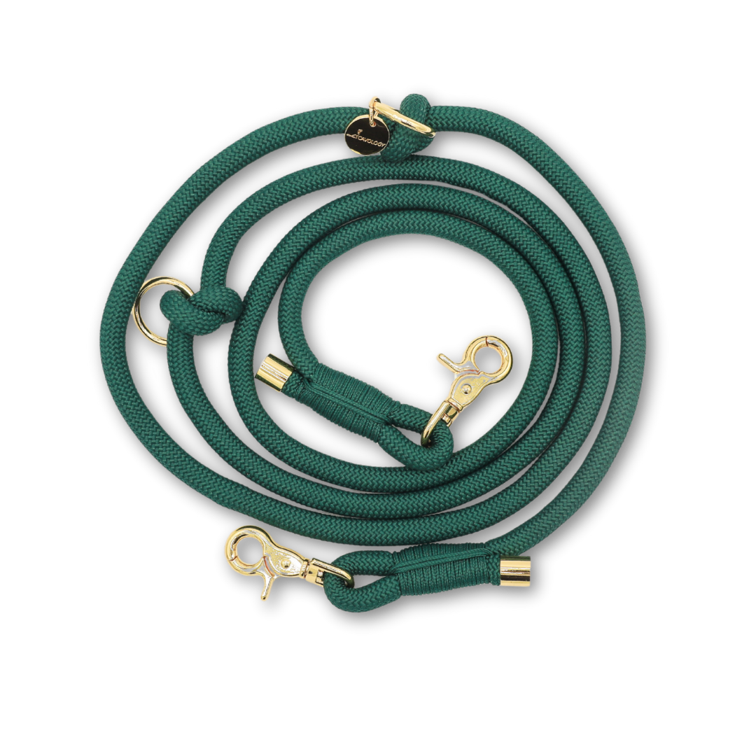 CAVOLOGY Hands Free Braided Rope Leash - Forest Green