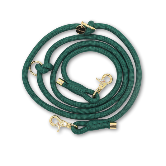 CAVOLOGY Hands Free Braided Rope Leash - Forest Green
