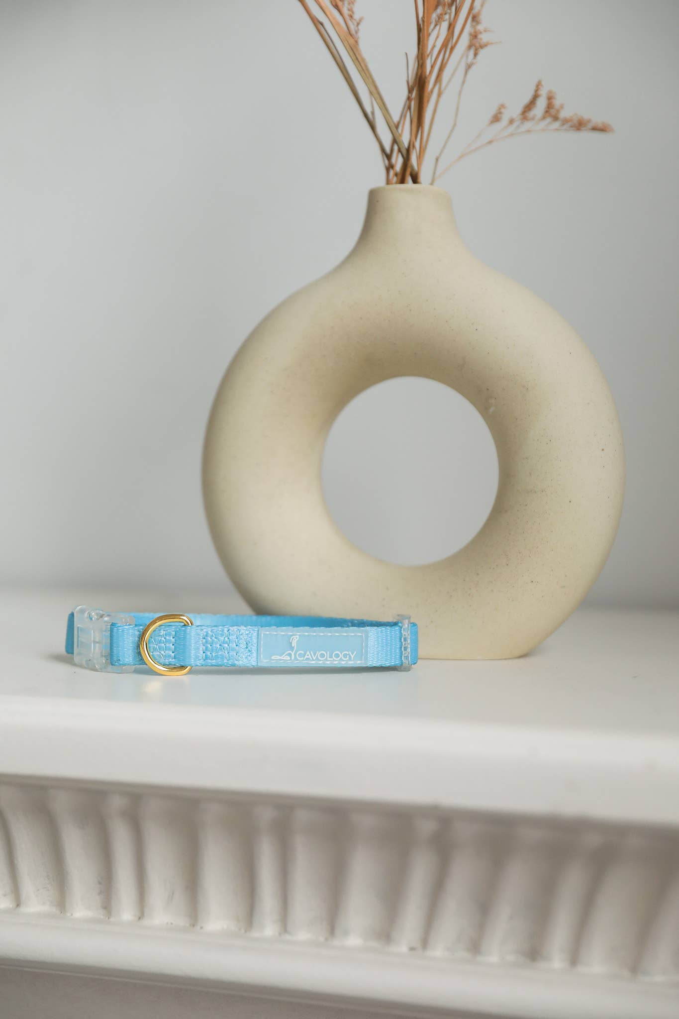 CAVOLOGY DOG COLLAR EVERYDAY LIGHTWEIGHT VINYL MINIMAL: Gold / M