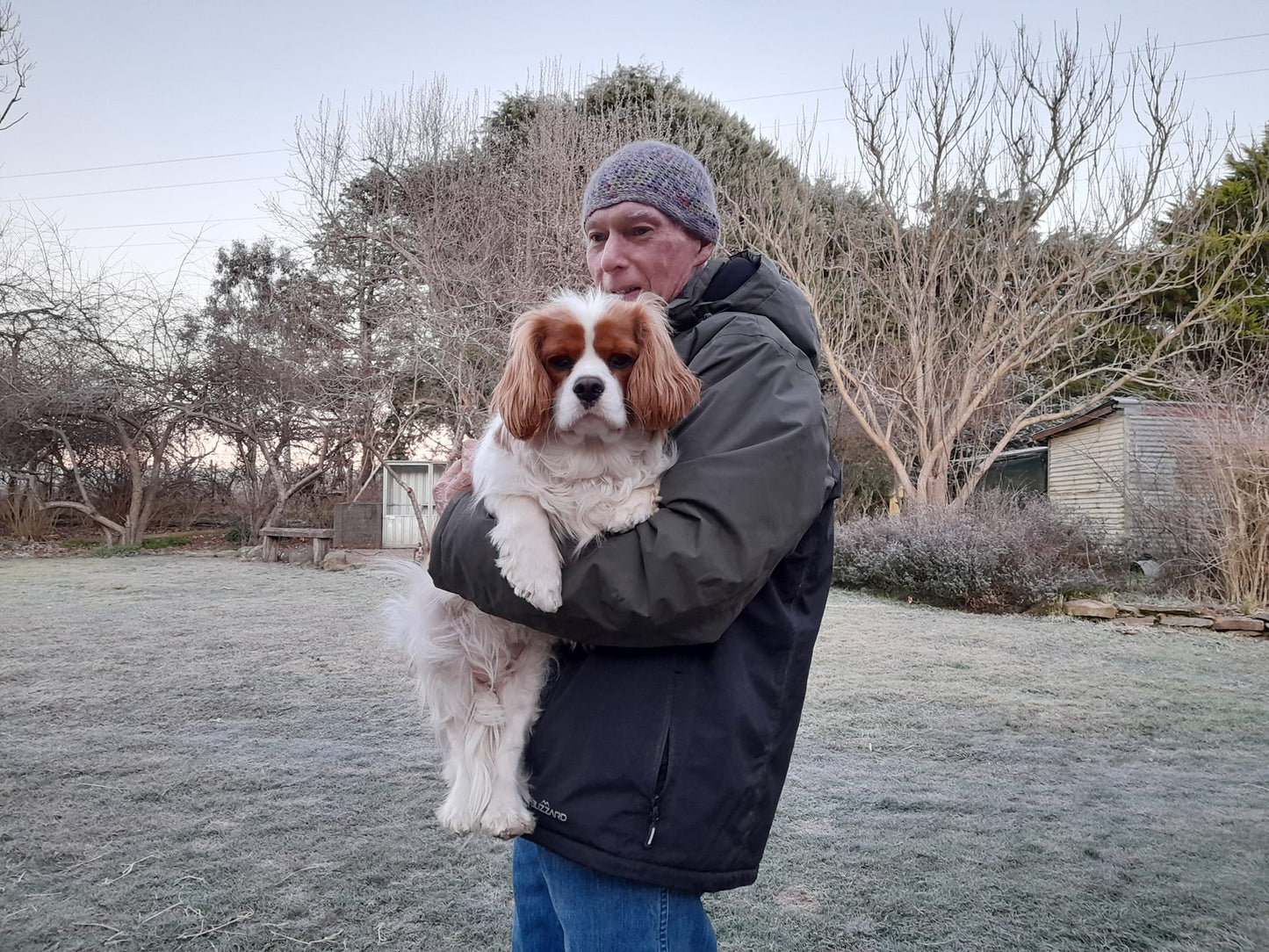 Equine Dog & Goat Services - Hoof Care, Massage and Manipulation