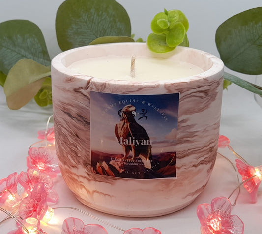 EcoJar Pure Soy Candle - Maliyan