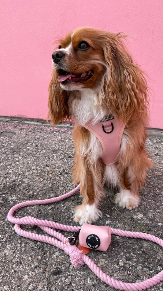 CAVOLOGY DOG HARNESS ADJUSTABLE NECK - Pink L