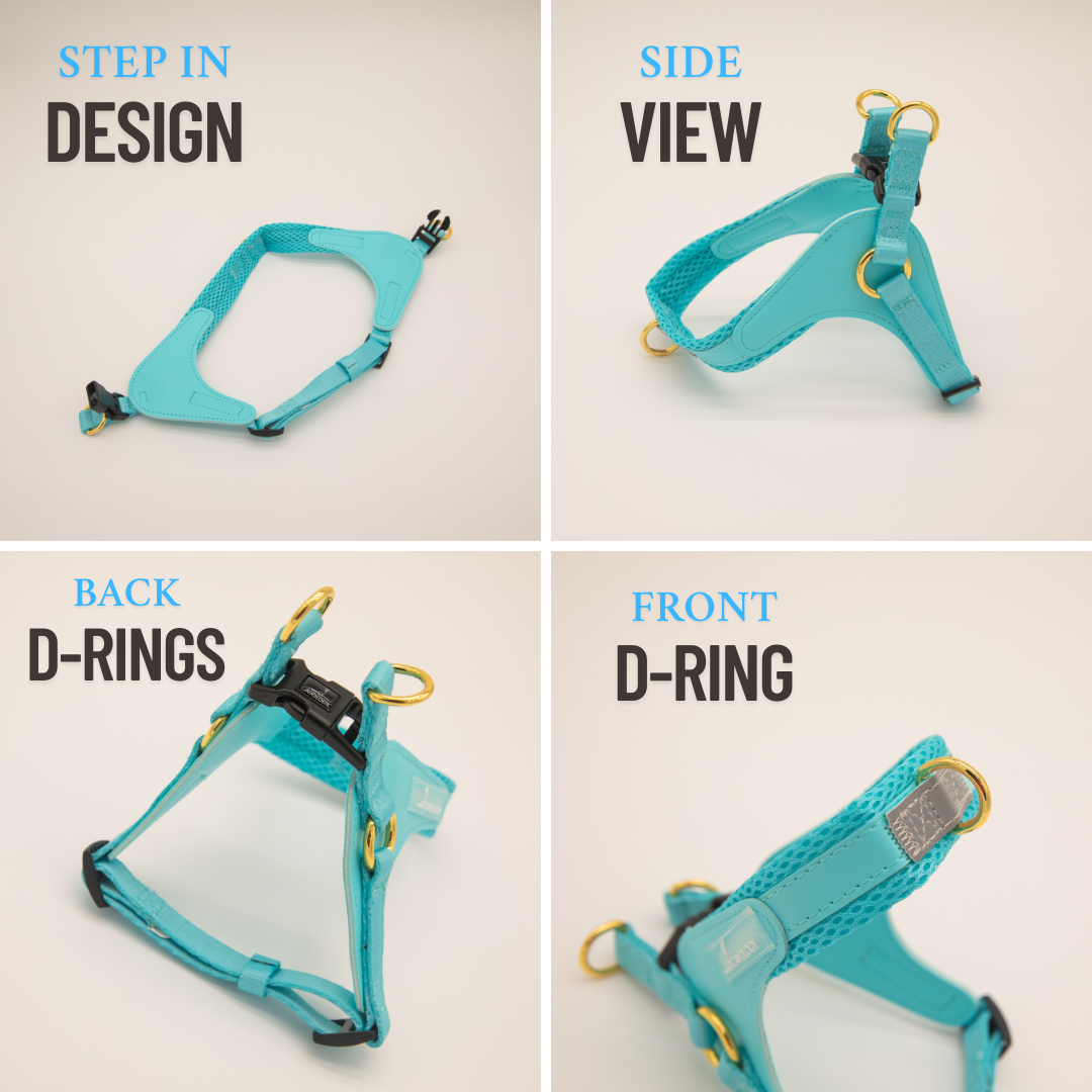CAVOLOGY EASY-O STEP IN HARNESS - Vanilla Cream: M