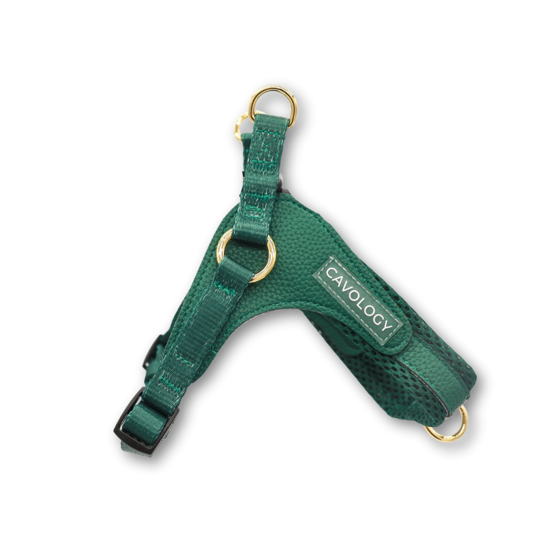 CAVOLOGY EASY-O STEP IN HARNESS - Forest Green: L