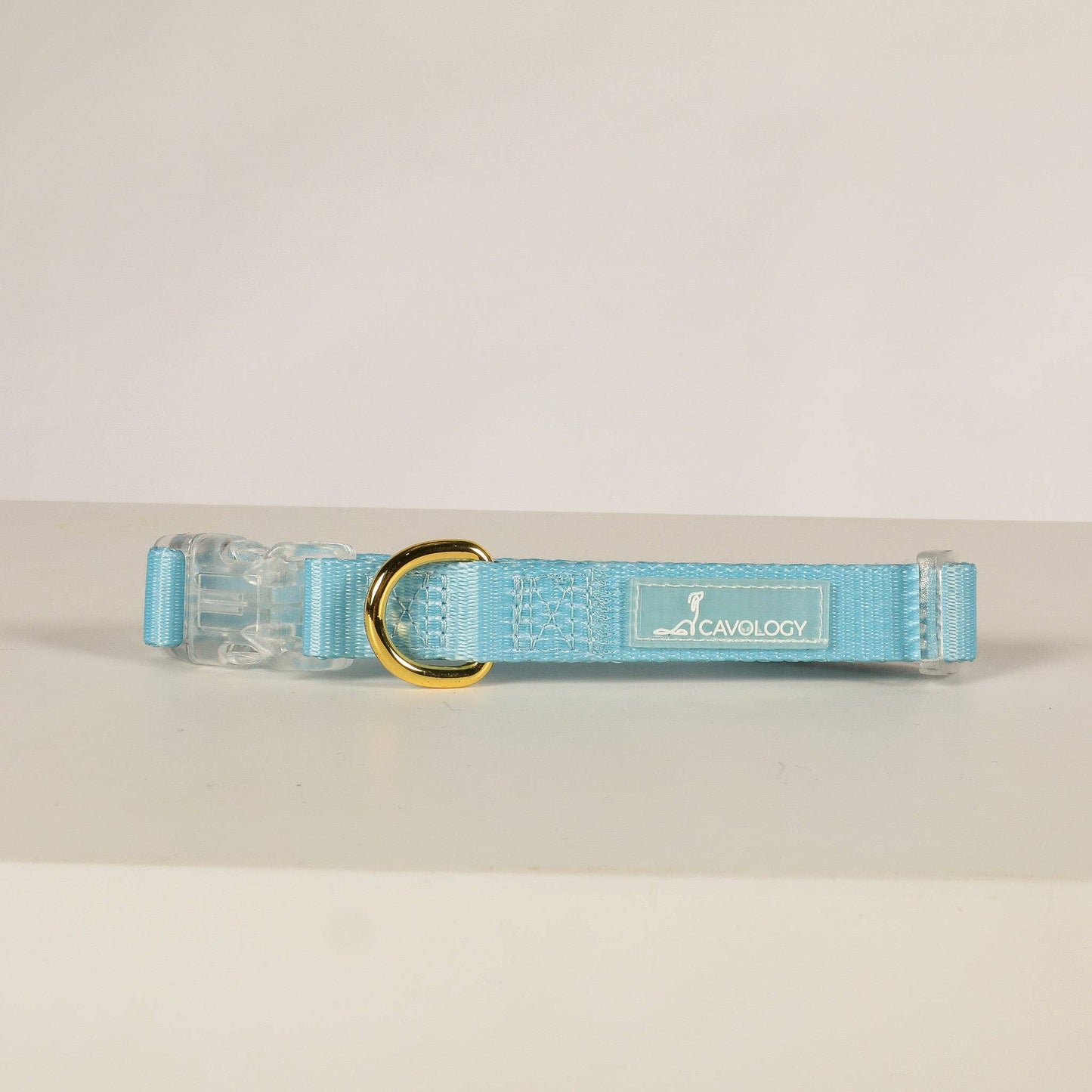 CAVOLOGY DOG COLLAR EVERYDAY LIGHTWEIGHT VINYL MINIMAL: Gold / M