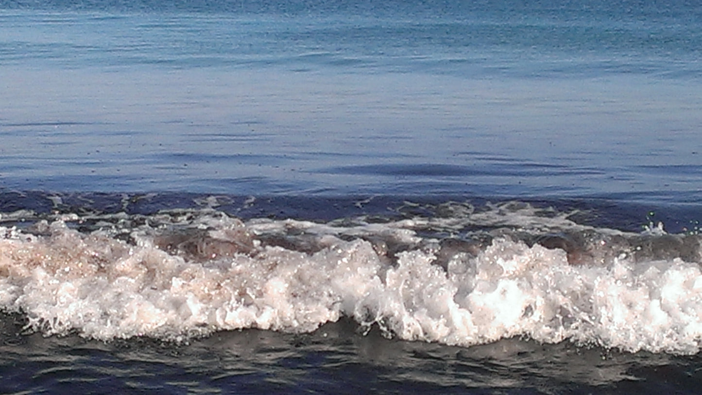 NEW! Ocean Breeze Fragrance Oil Soap (PRE-ORDER Ships Mid-Feb 2026)