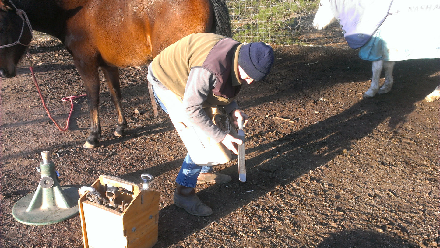 Equine Dog & Goat Services - Hoof Care, Massage and Manipulation