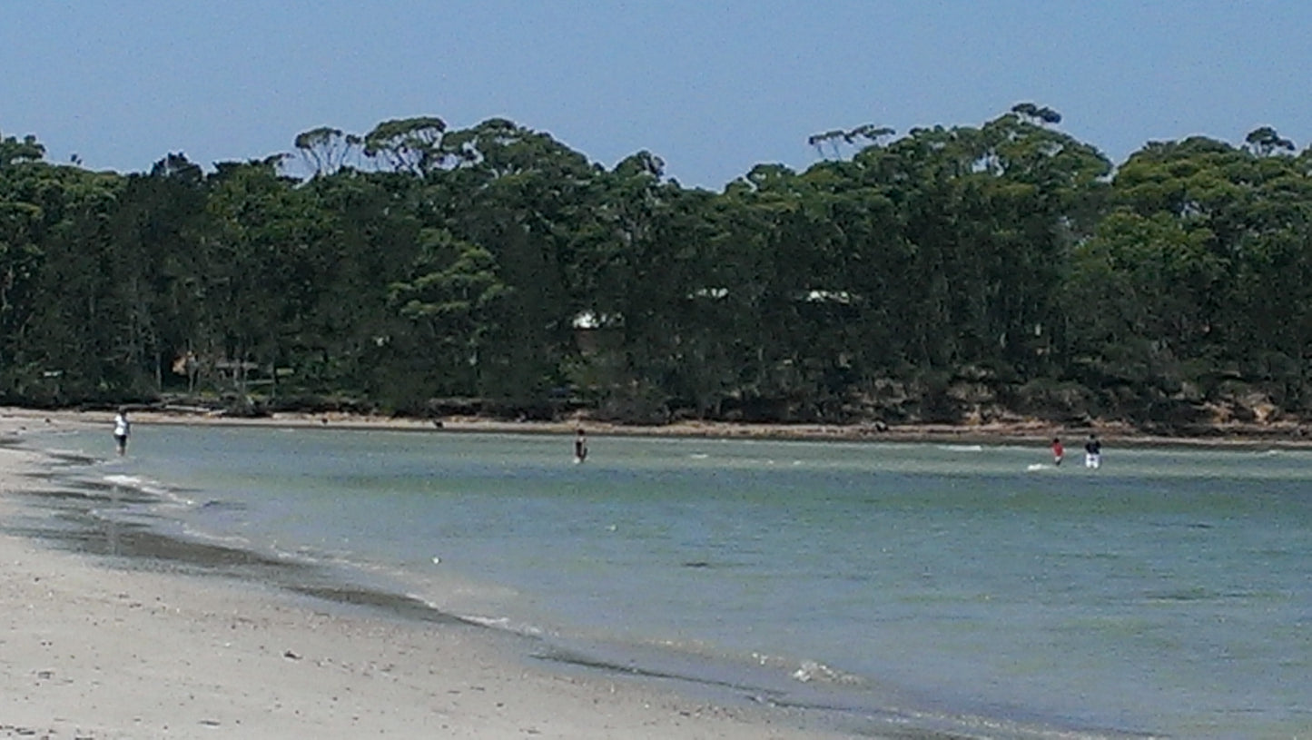 New! Beach House Fragrance Oil Soap (PRE-ORDER Ships Mid-Feb 2026)