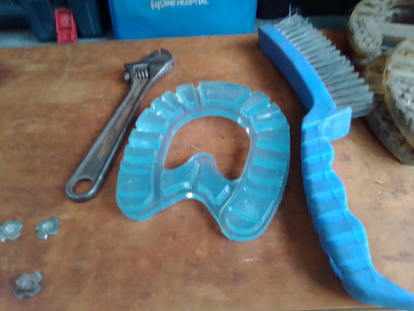 Equine Dog & Goat Services - Hoof Care, Massage and Manipulation