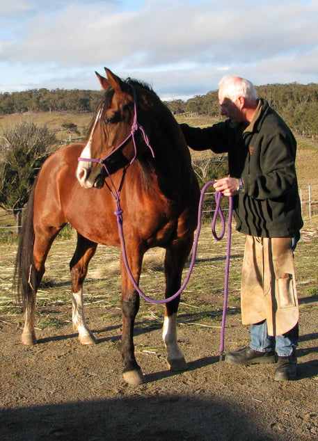 Equine Dog & Goat Services - Hoof Care, Massage and Manipulation
