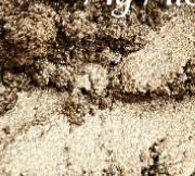 Nashama Vegan Lipstick