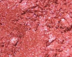 Nashama Vegan Lipstick