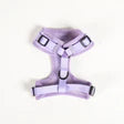 CAVOLOGY DOG HARNESS ADJUSTABLE NECK - Lavender L