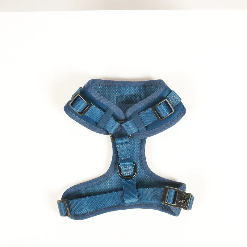 CAVOLOGY DOG HARNESS ADJUSTABLE NECK - Zermatt (Navy Blue) L