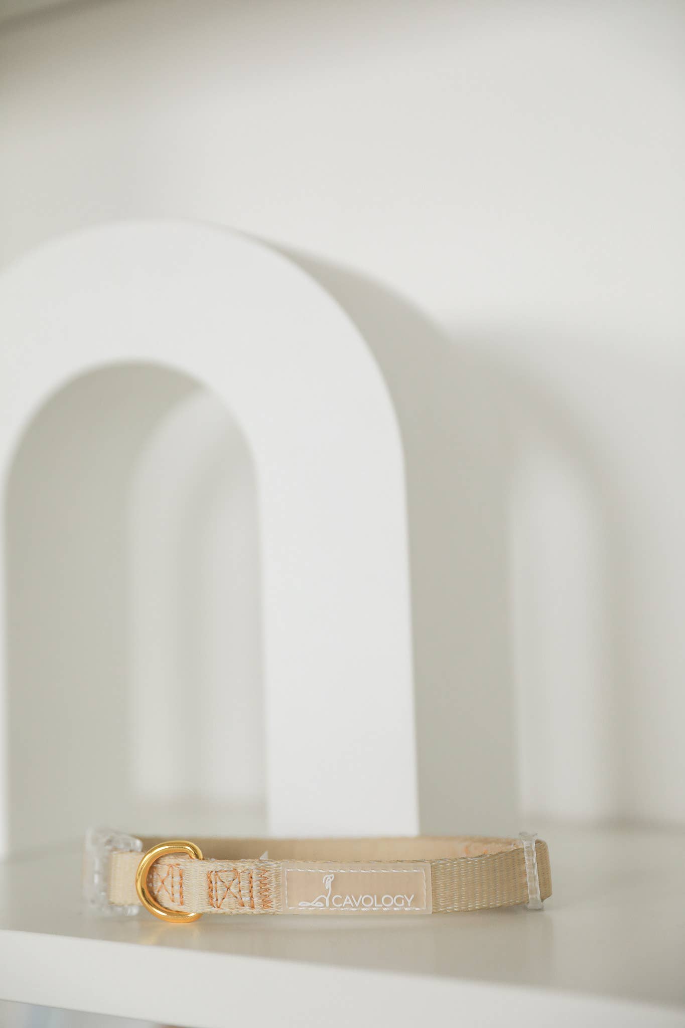 CAVOLOGY DOG COLLAR EVERYDAY LIGHTWEIGHT VINYL MINIMAL: Gold / M
