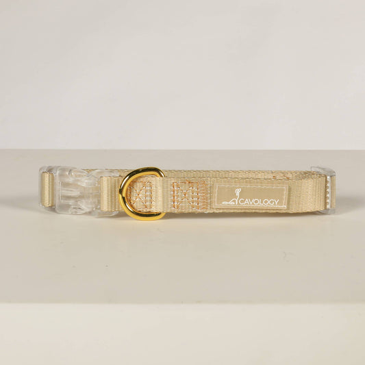 CAVOLOGY DOG COLLAR EVERYDAY LIGHTWEIGHT VINYL MINIMAL: Gold / M