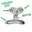 CAVOLOGY DOG HARNESS ADJUSTABLE NECK - Hey Sunshine L