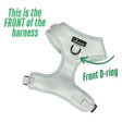 CAVOLOGY DOG HARNESS ADJUSTABLE NECK - Hey Sunshine L