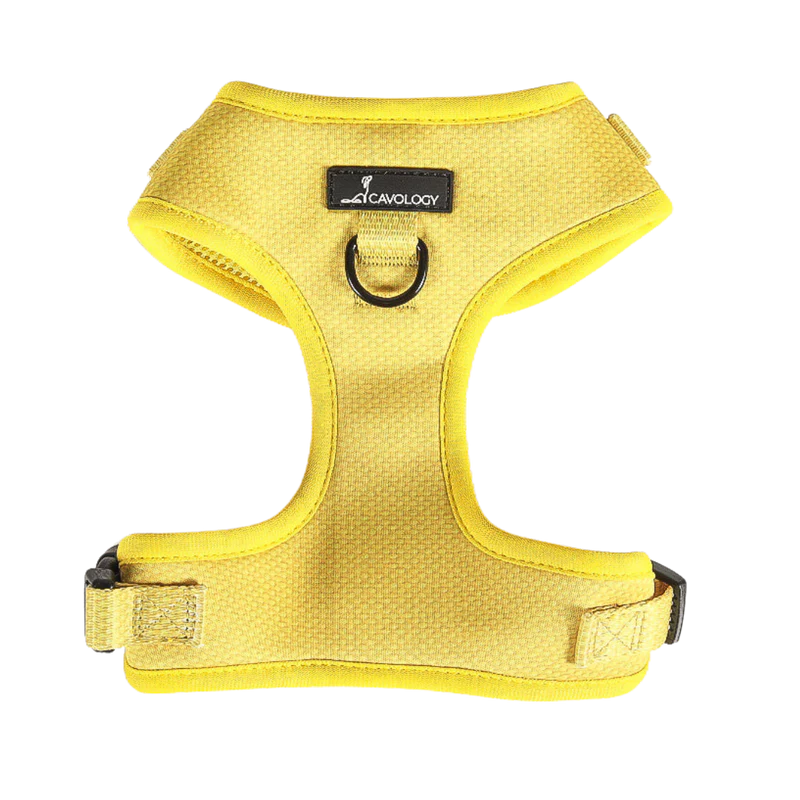 CAVOLOGY DOG HARNESS ADJUSTABLE NECK - Hey Sunshine L