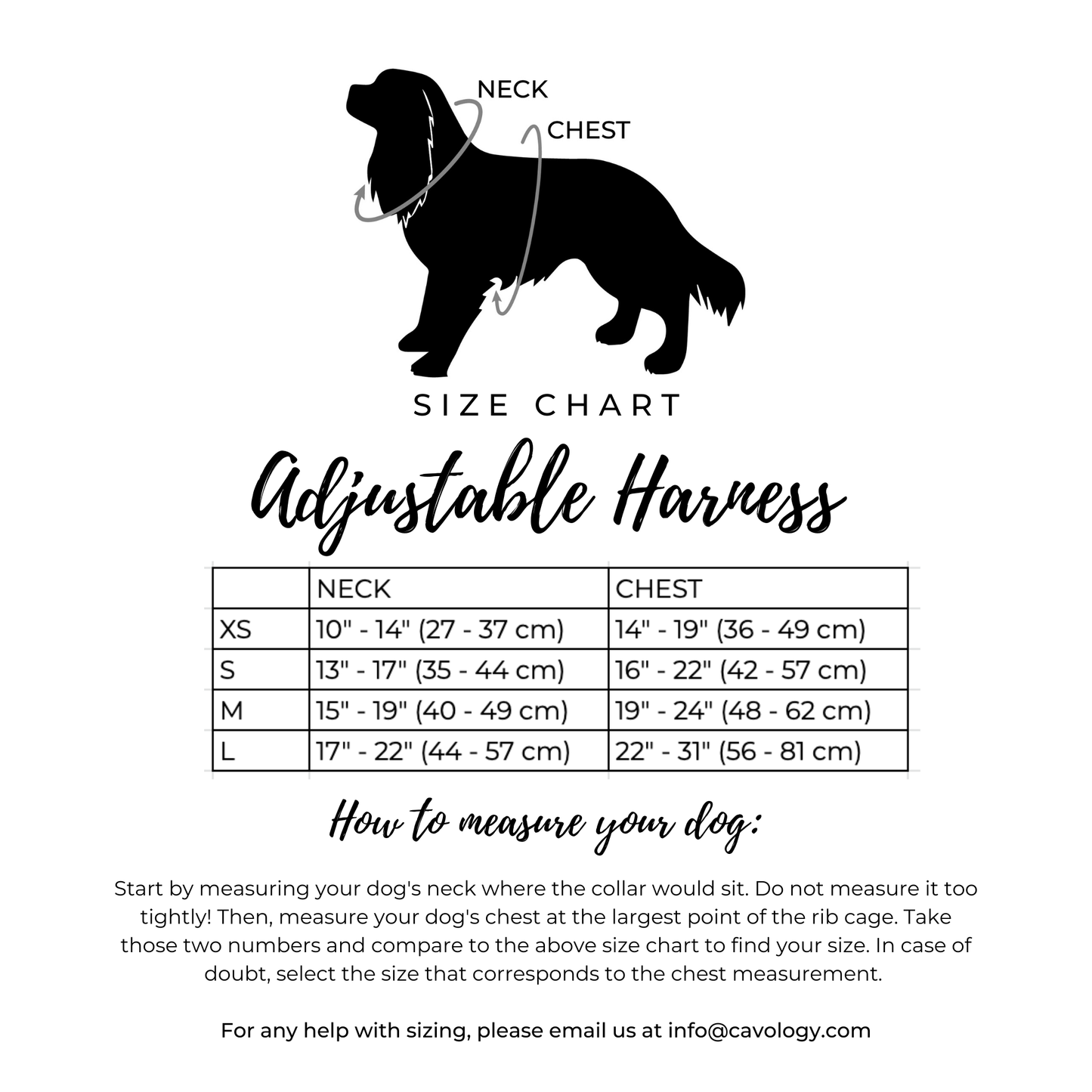 CAVOLOGY DOG HARNESS ADJUSTABLE NECK - Hey Sunshine L